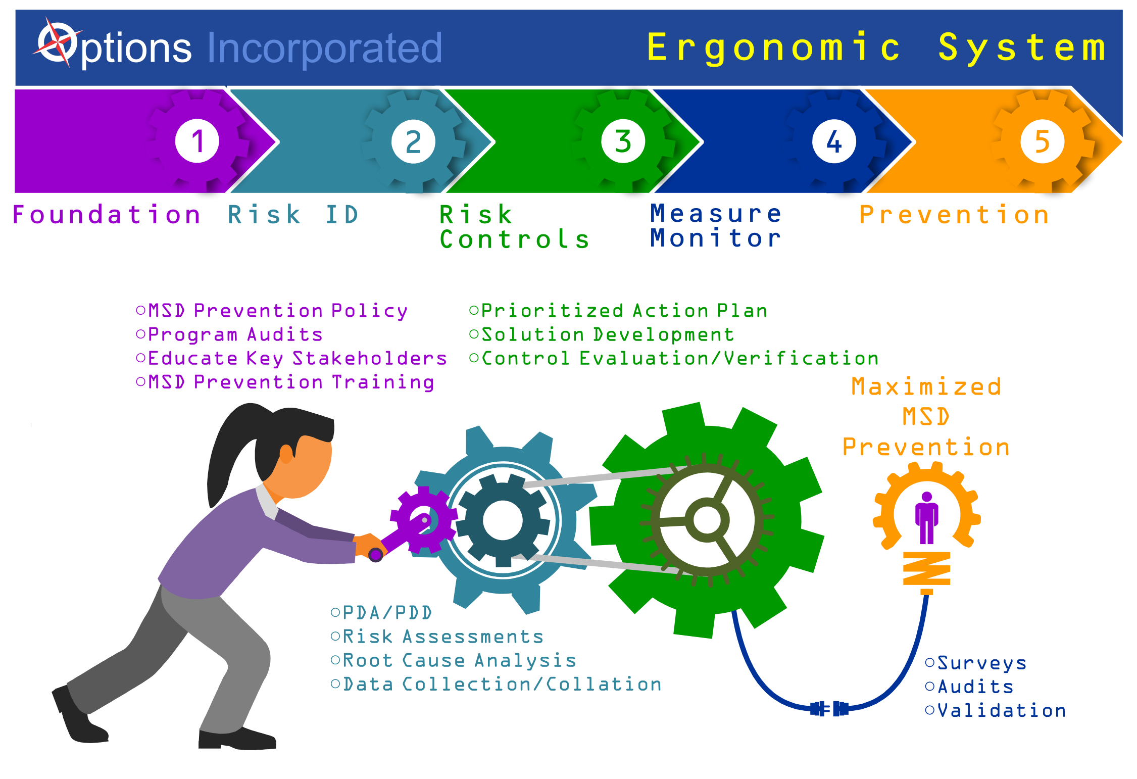 Options Incorporated Ergonomic System Infographic